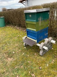 Bienen-20230313-WA0000(1)